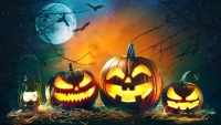 Oranžovo černý týden 30.10. - 3.11.